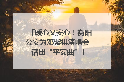 暖心又安心！衡阳公安为邓紫棋演唱会谱出“平安曲”