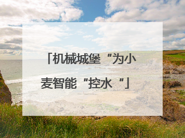机械城堡“为小麦智能“控水“