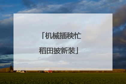 机械插秧忙 稻田披新装