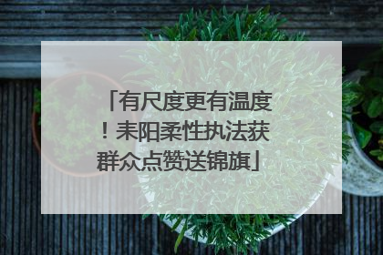有尺度更有温度！耒阳柔性执法获群众点赞送锦旗