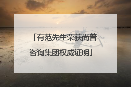 有范先生荣获尚普咨询集团权威证明