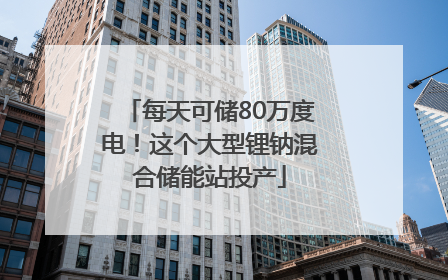每天可储80万度电！这个大型锂钠混合储能站投产