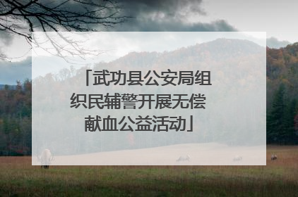 武功县公安局组织民辅警开展无偿献血公益活动