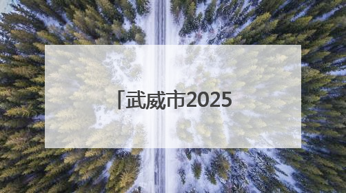 武威市2025年六五环境日主题宣传周活动启动