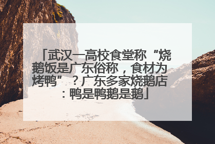 武汉一高校食堂称“烧鹅饭是广东俗称，食材为烤鸭”？广东多家烧鹅店：鸭是鸭鹅是鹅