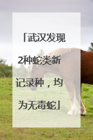 武汉发现2种蛇类新记录种，均为无毒蛇