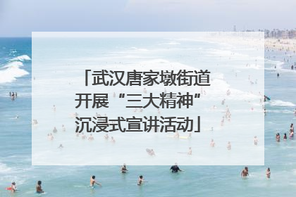 武汉唐家墩街道开展“三大精神”沉浸式宣讲活动