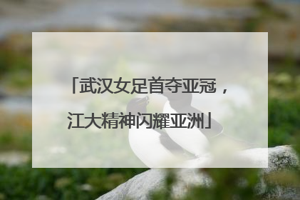 武汉女足首夺亚冠，江大精神闪耀亚洲