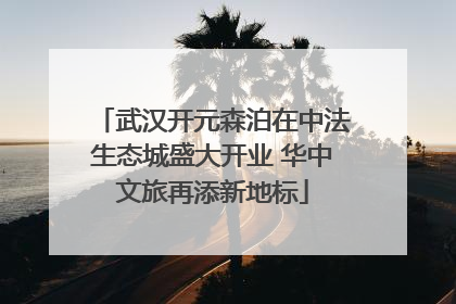 武汉开元森泊在中法生态城盛大开业 华中文旅再添新地标