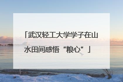 武汉轻工大学学子在山水田间感悟“粮心”