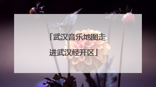 武汉音乐地图走进武汉经开区