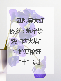 武陟县大虹桥乡：筑牢禁烧“防火墙” 守护夏粮好“丰”景