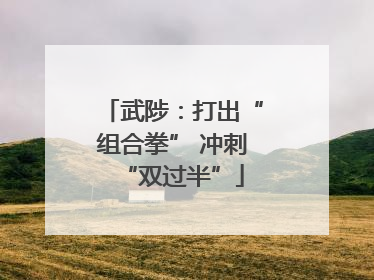 武陟：打出“组合拳” 冲刺“双过半”