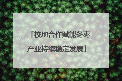 校地合作赋能冬枣产业持续稳定发展