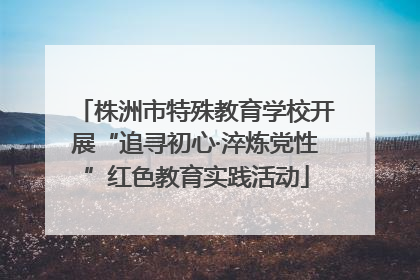 株洲市特殊教育学校开展“追寻初心·淬炼党性”红色教育实践活动