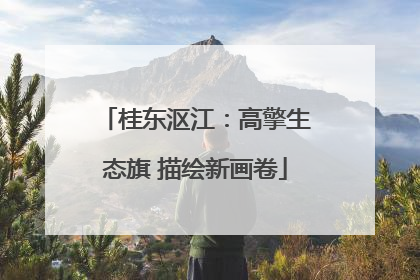 桂东沤江：高擎生态旗 描绘新画卷