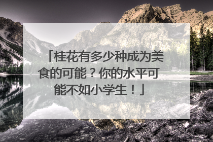 桂花有多少种成为美食的可能？你的水平可能不如小学生！