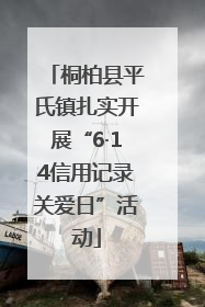 桐柏县平氏镇扎实开展“6·14信用记录关爱日”活动