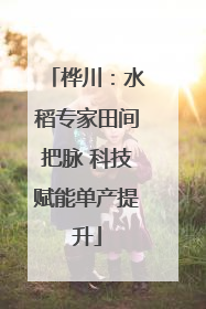桦川：水稻专家田间把脉 科技赋能单产提升