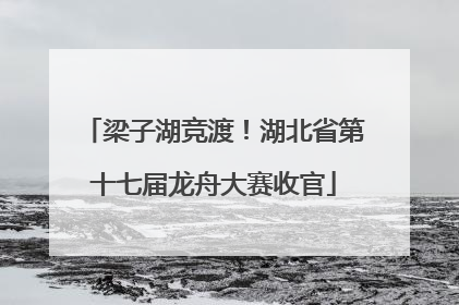 梁子湖竞渡！湖北省第十七届龙舟大赛收官