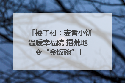 楼子村：麦香小饼温暖幸福院 撂荒地变“金饭碗”