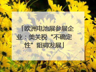欧洲电池展参展企业：美关税“不确定性”阻碍发展