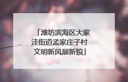 潍坊滨海区大家洼街道孟家庄子村文明新风展新貌