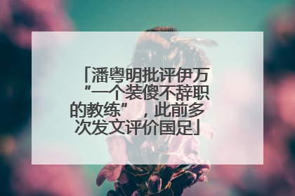 潘粤明批评伊万“一个装傻不辞职的教练”，此前多次发文评价国足