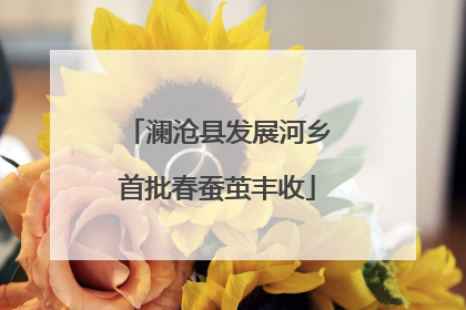 澜沧县发展河乡首批春蚕茧丰收
