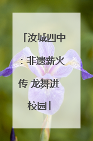 汝城四中：非遗薪火传 龙舞进校园