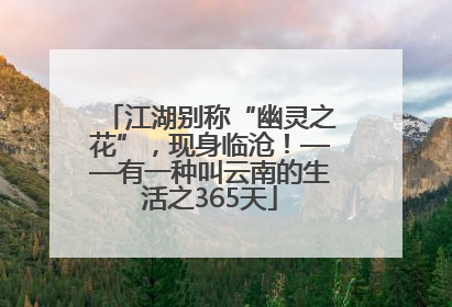 江湖别称“幽灵之花”，现身临沧！——有一种叫云南的生活之365天