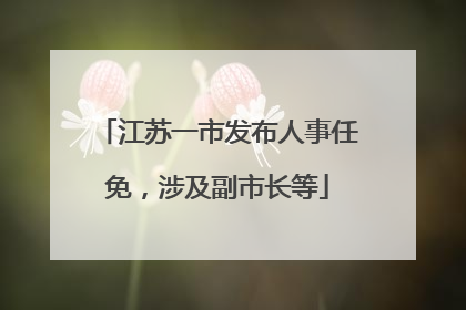 江苏一市发布人事任免，涉及副市长等