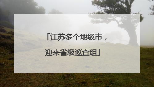 江苏多个地级市，迎来省级巡查组
