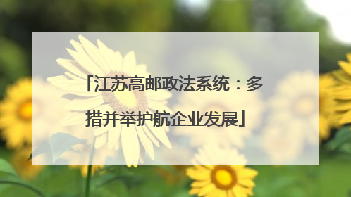江苏高邮政法系统：多措并举护航企业发展