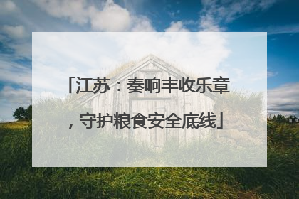 江苏：奏响丰收乐章，守护粮食安全底线