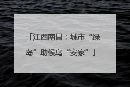 江西南昌：城市“绿岛”助候鸟“安家”