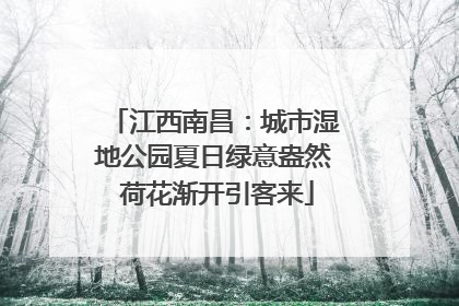 江西南昌：城市湿地公园夏日绿意盎然 荷花渐开引客来
