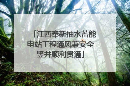江西奉新抽水蓄能电站工程通风兼安全竖井顺利贯通