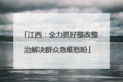 江西：全力抓好整改整治解决群众急难愁盼