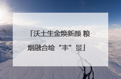 沃土生金焕新颜 粮烟融合绘“丰”景