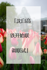 沈白高铁开始联调联试