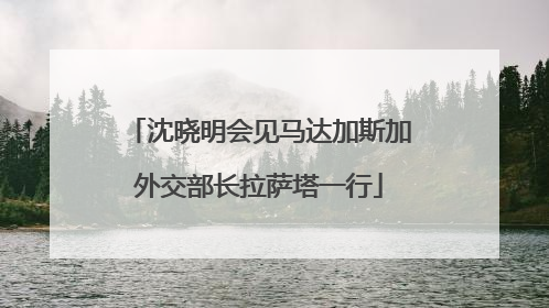 沈晓明会见马达加斯加外交部长拉萨塔一行