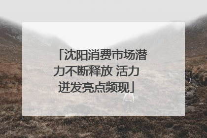 沈阳消费市场潜力不断释放 活力迸发亮点频现