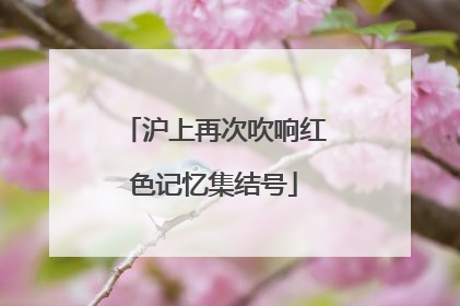 沪上再次吹响红色记忆集结号