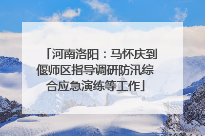 河南洛阳：马怀庆到偃师区指导调研防汛综合应急演练等工作