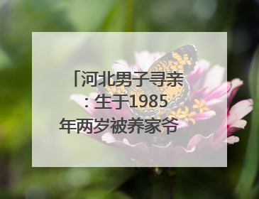 河北男子寻亲：生于1985年两岁被养家爷爷抱回，亲生父母疑为四川仪陇人｜红星寻人