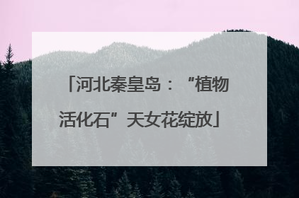 河北秦皇岛：“植物活化石”天女花绽放