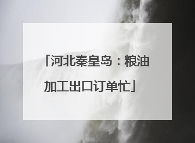 河北秦皇岛：粮油加工出口订单忙