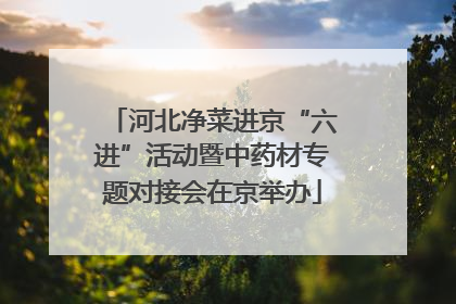 河北净菜进京“六进”活动暨中药材专题对接会在京举办