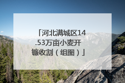 河北满城区14.53万亩小麦开镰收割（组图）